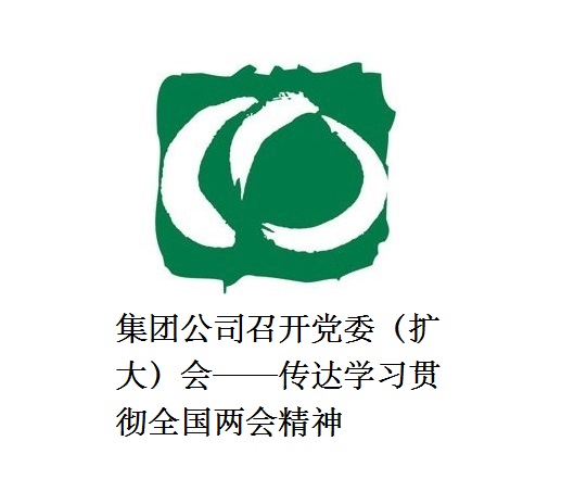 澳门银银河7163召开党委（扩大）会——传达学习贯彻全国两会精神