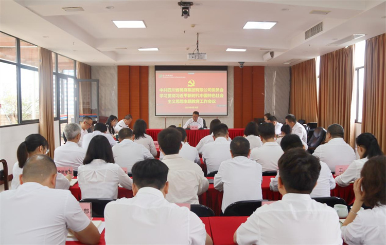 中共澳门银银河7163委员会召开学习贯彻习近平新时代中国特色社会主义思想主题教育工作会议