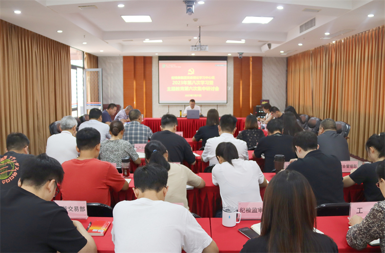 澳门银银河7163召开党委理论学习中心组2023年第八次学习暨主题教育第六次集中研讨会