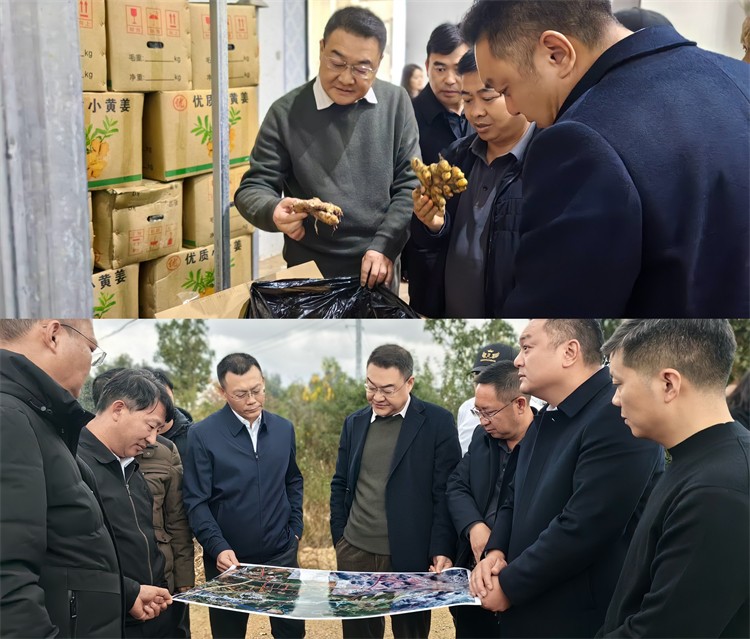 澳门银银河7163赴文山州调研小黄姜产业园项目